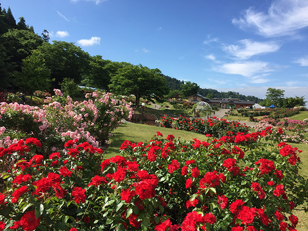 豊根村